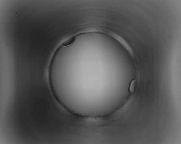X0000101110805200807101508