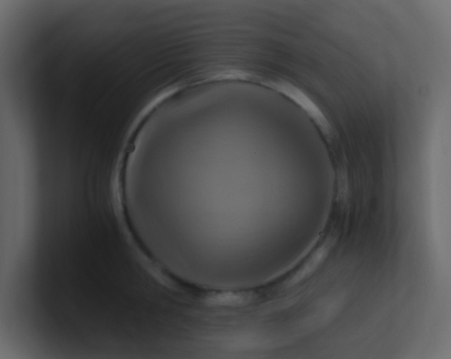X0000101110806200807101508