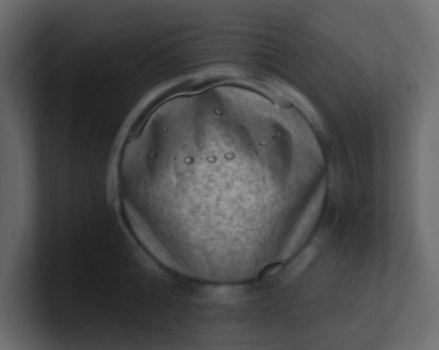 X0000101110808200807101508