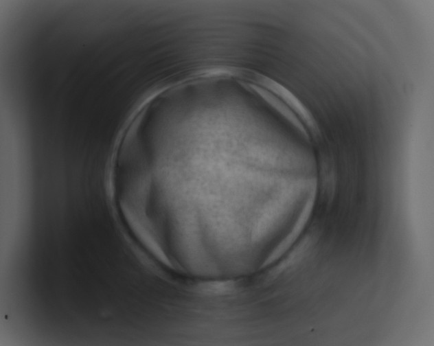 X0000101110810200807101508