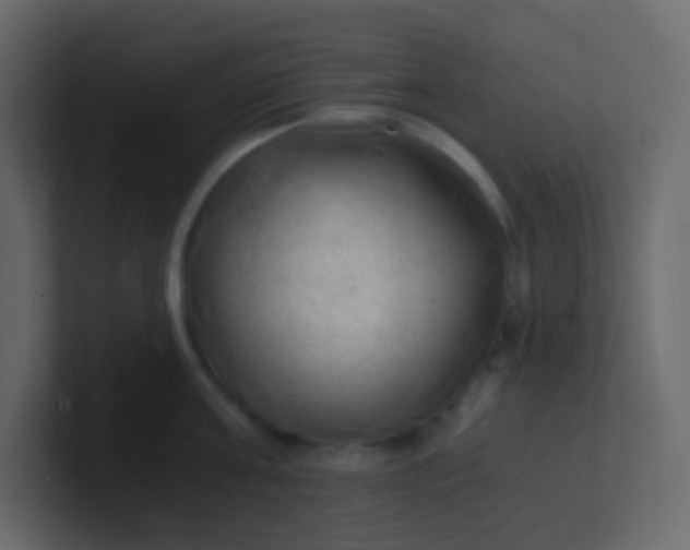 X0000101110811200807101508