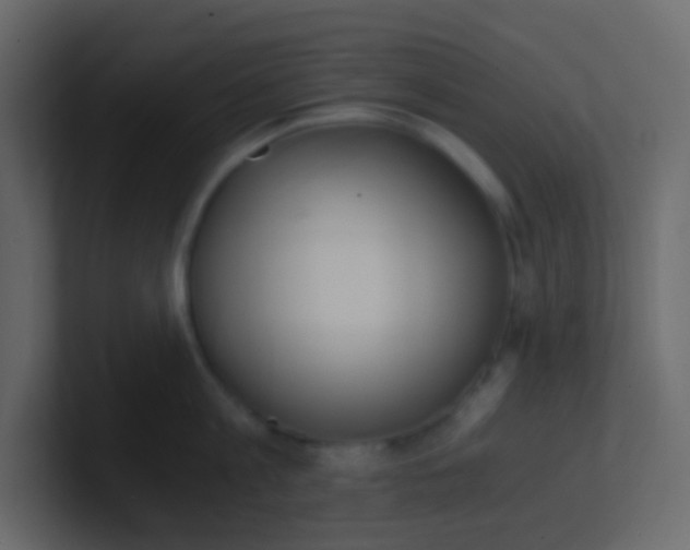 X0000101110813200807101508