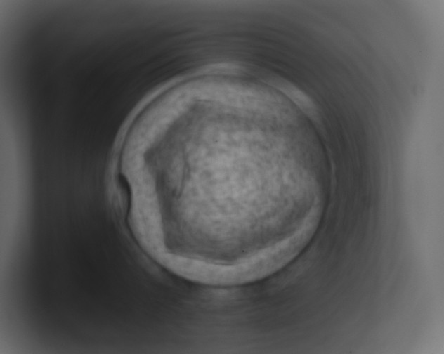 X0000101110816200807101508