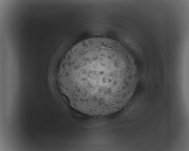 X0000101110817200807101507