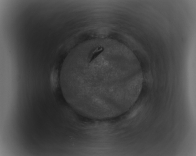 X0000101110818200807101507