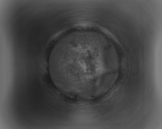X0000101110822200807101507