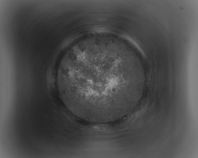 X0000101110823200807101507