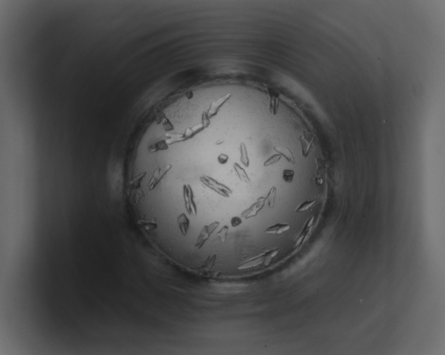 X0000101110825200807101507