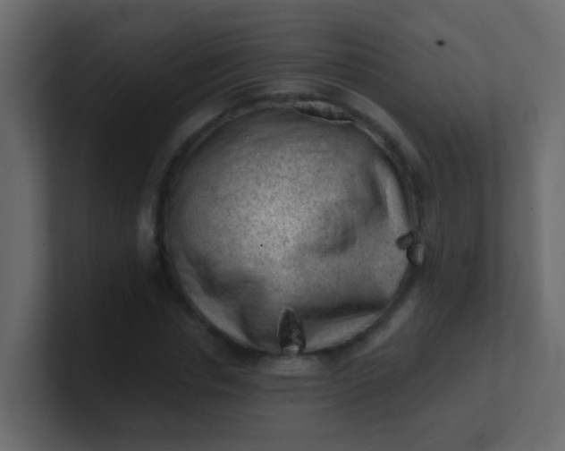 X0000101110826200807101507