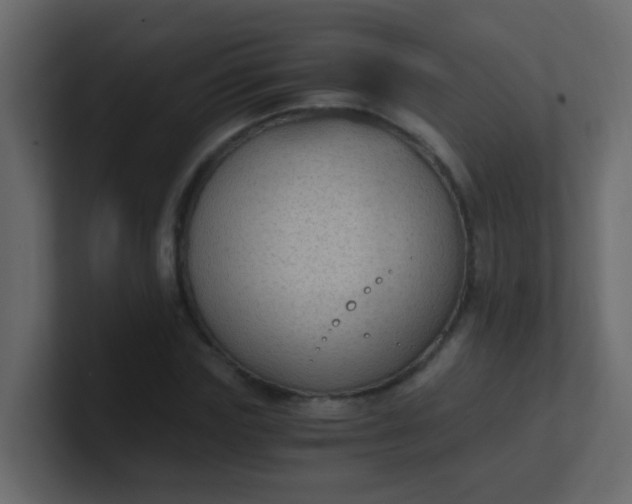 X0000101110827200807101507