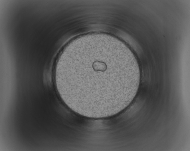 X0000101110828200807101507