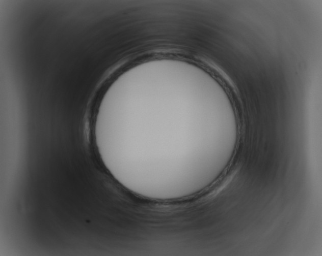 X0000101110829200807101507