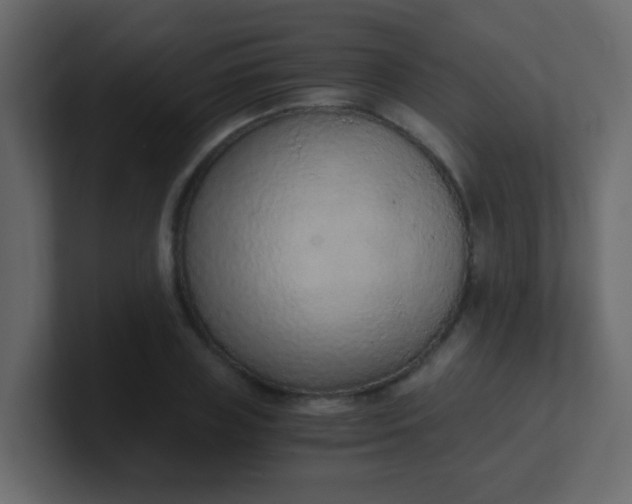 X0000101110835200807101507
