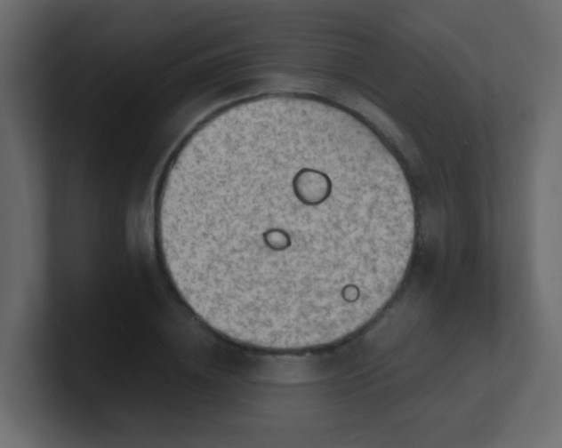 X0000101110836200807101507