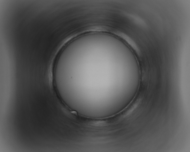 X0000101110837200807101507