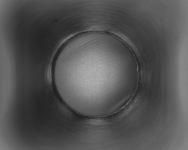 X0000101110838200807101507
