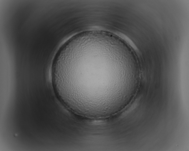 X0000101110839200807101507