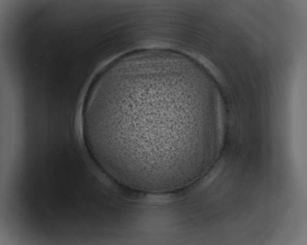 X0000101110840200807101507