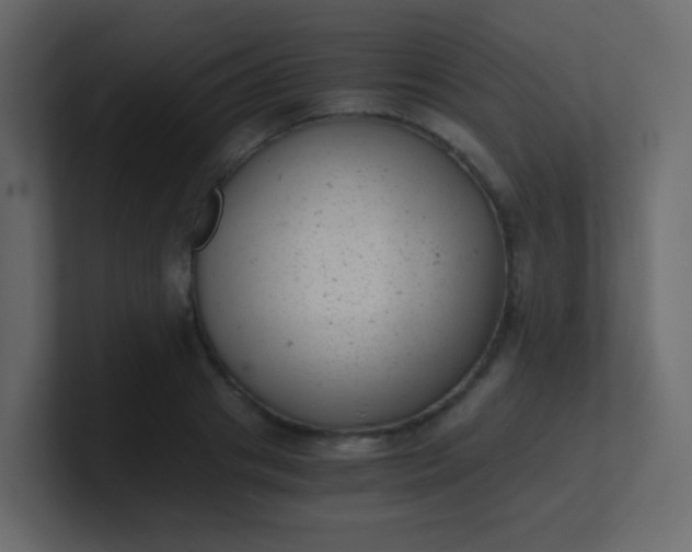 X0000101110841200807101507