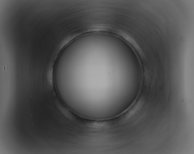 X0000101110842200807101507