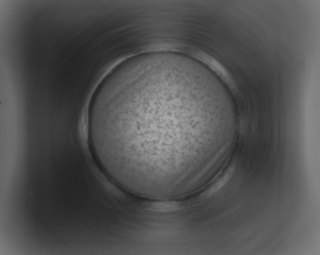 X0000101110844200807101507
