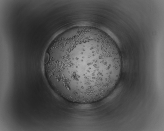 X0000101110845200807101507