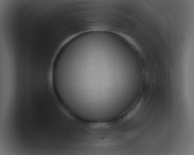 X0000101110846200807101507