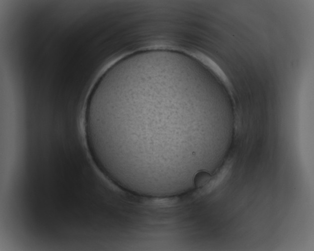 X0000101110847200807101507