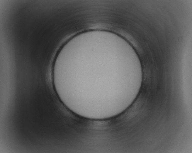 X0000101110848200807101507