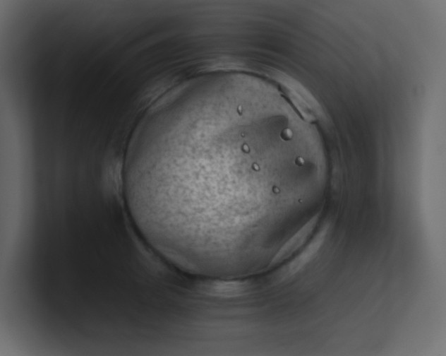 X0000101110849200807101507