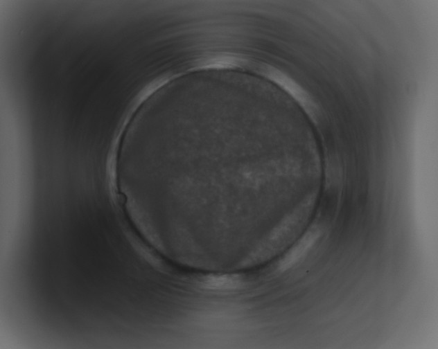 X0000101110850200807101507