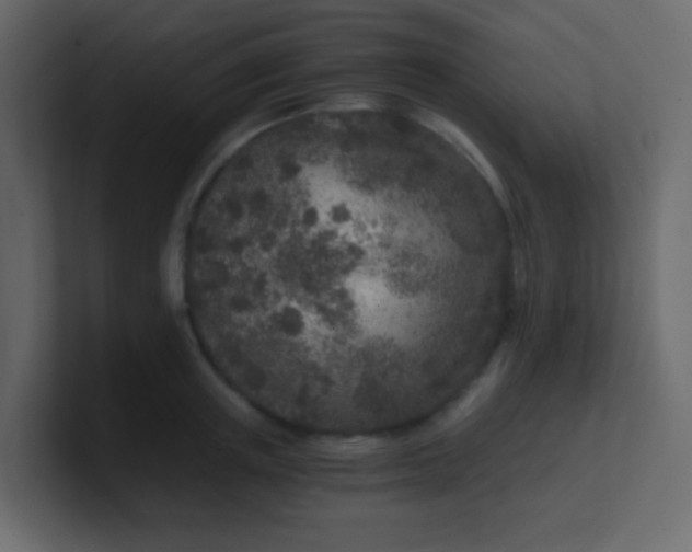 X0000101110851200807101507