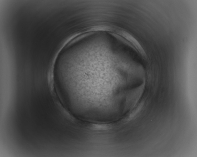 X0000101110852200807101507