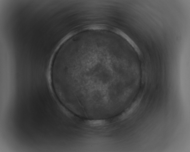 X0000101110853200807101507