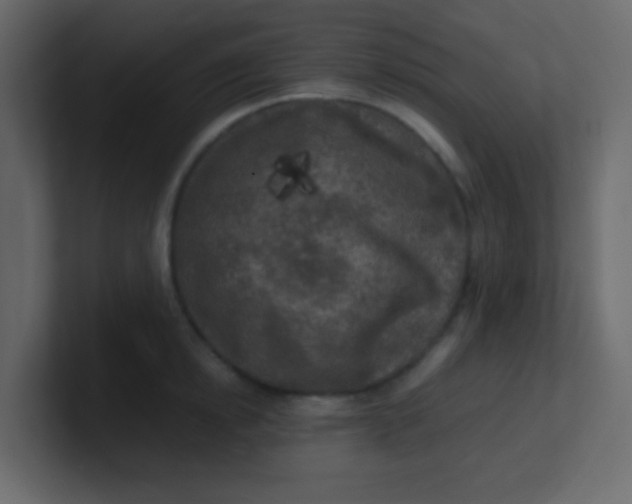 X0000101110854200807101507