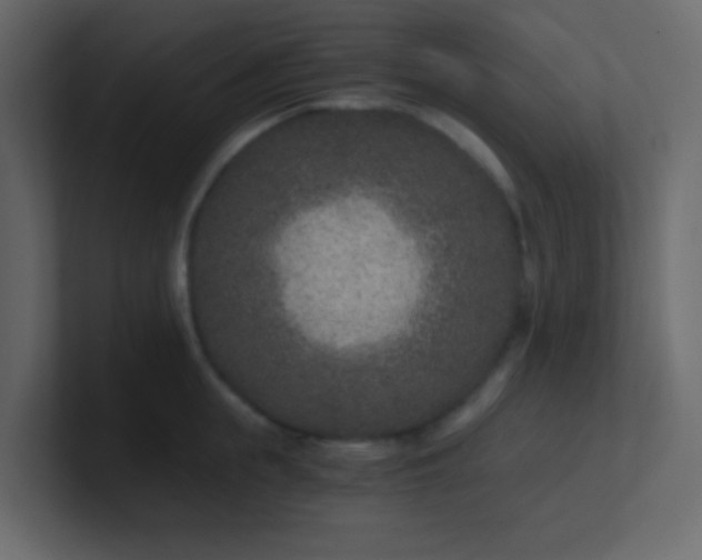 X0000101110855200807101507