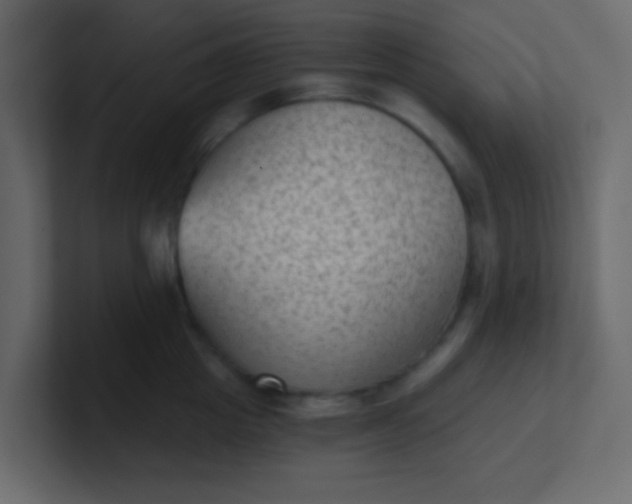 X0000101110857200807101507