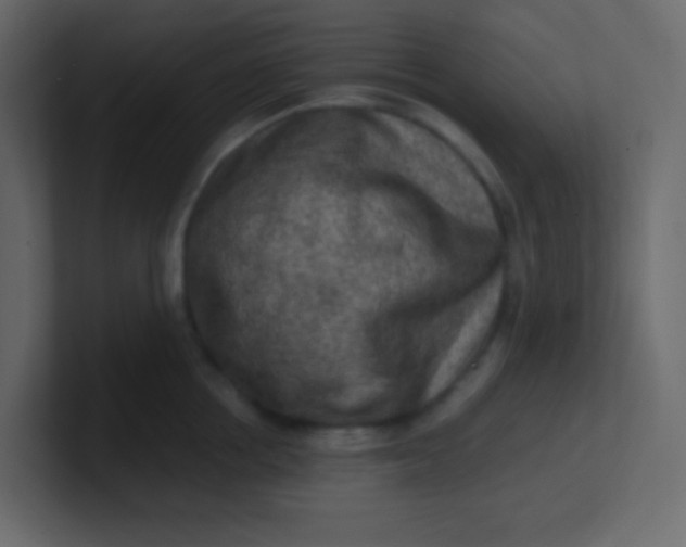 X0000101110858200807101507