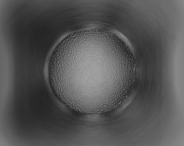 X0000101110859200807101507