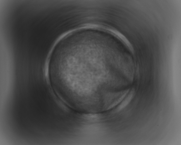 X0000101110862200807101507