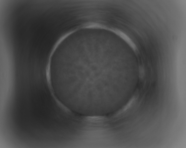 X0000101110863200807101507