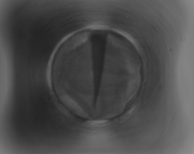X0000101110864200807101507
