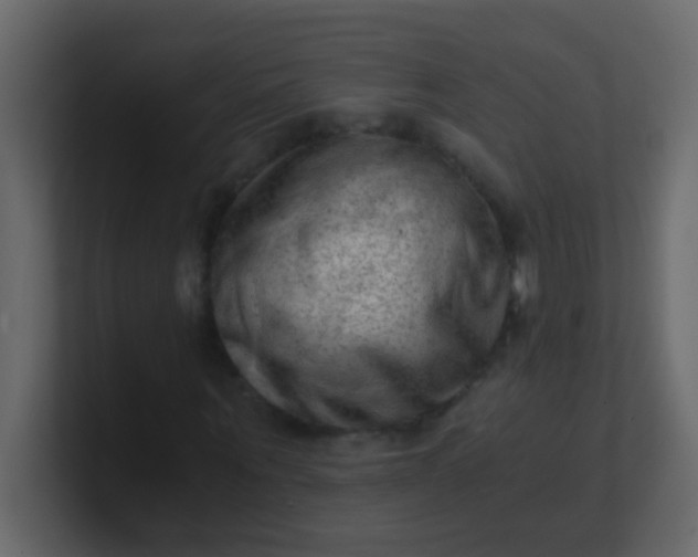 X0000101110867200807101507