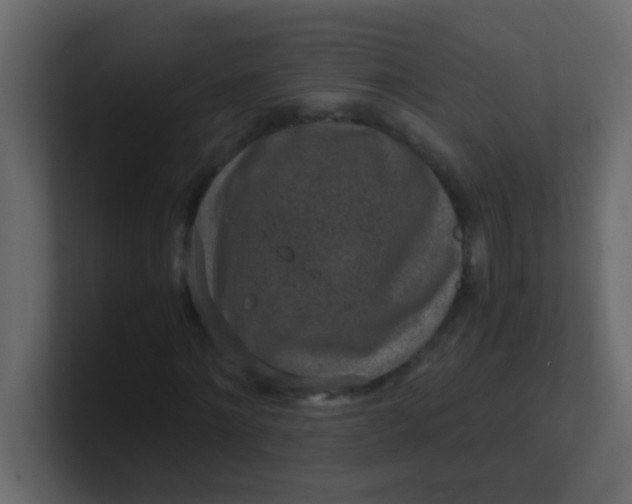 X0000101110868200807101507