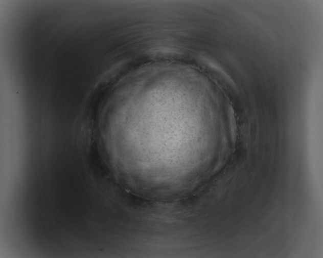 X0000101110870200807101507
