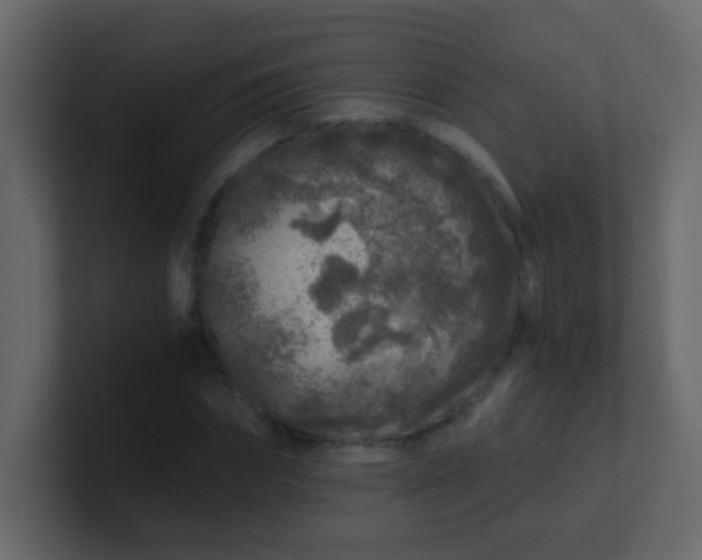 X0000101110874200807101507