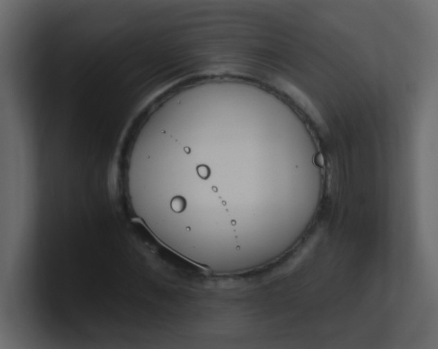 X0000101110876200807101507