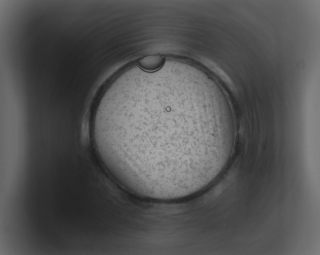 X0000101110877200807101507