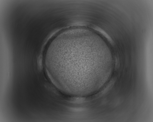 X0000101110878200807101507
