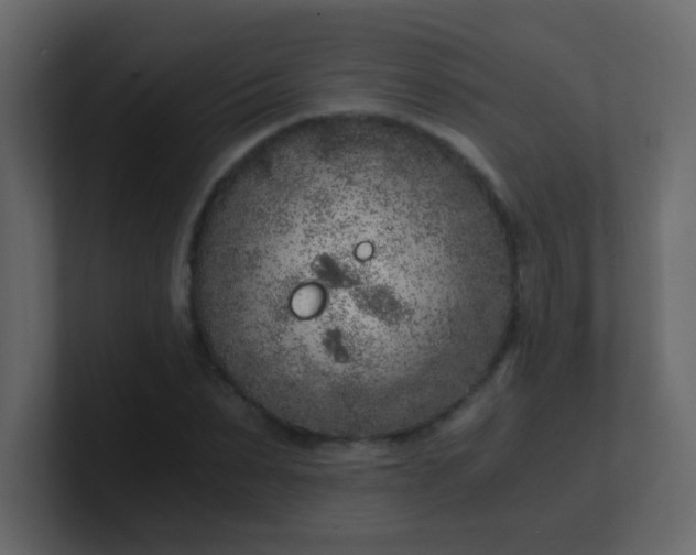 X0000101110879200807101507